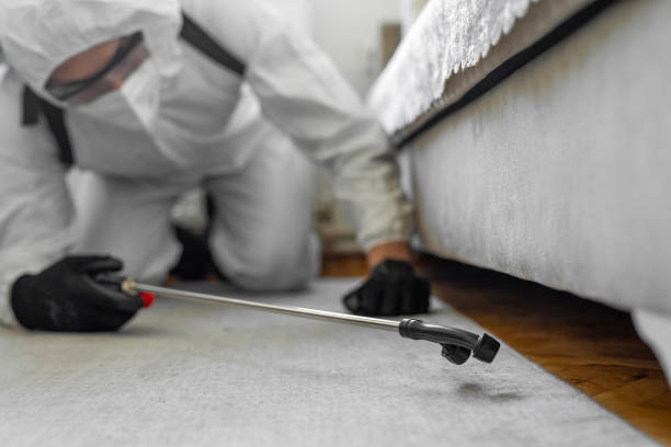 Professional Cockroach Control technician working in Kent, OH